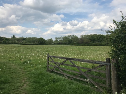 Freehold land for sale - freehold,