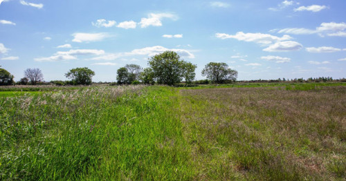 Large acre plots with - 3,