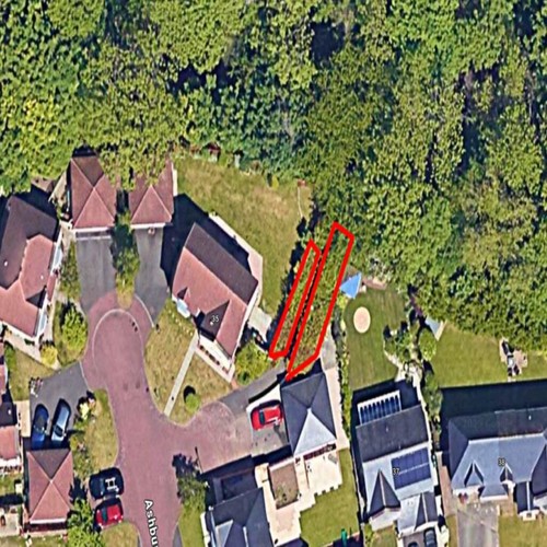 Freehold woodland plot - freehold,