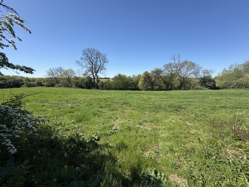 Land for sale 3 acres - land,