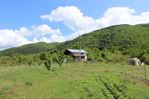 Bulgaria house large plot - -,