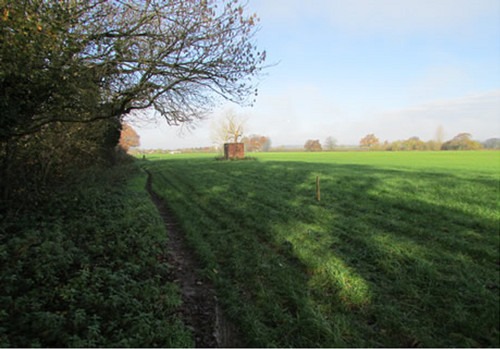 Plot land for sale in - land,