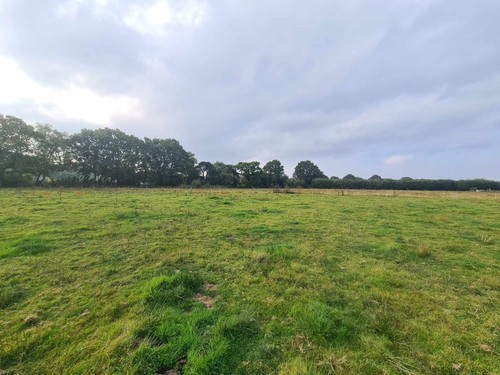 Plot land for sale in - plot,